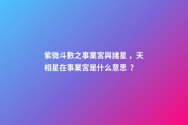 紫微斗數之事業宮與諸星，天相星在事業宮是什么意思？